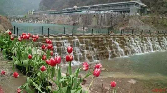 大摩：予恒隆地产目标价13.5港元 评级“增持”